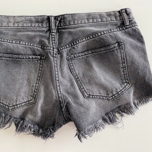 Free People Gray Low Rise Shorts